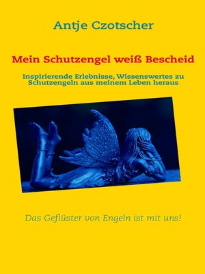 cover image of Mein Schutzengel weiß Bescheid